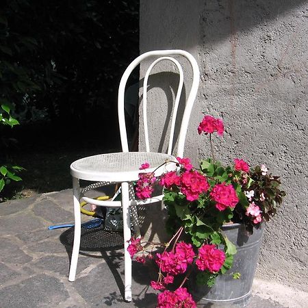 B&B Bosco Fiorito Malgesso Extérieur photo
