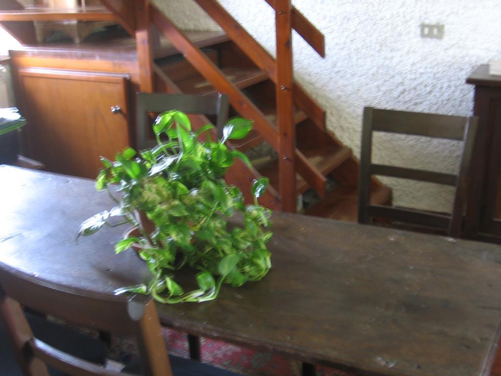 B&B Bosco Fiorito Malgesso Extérieur photo